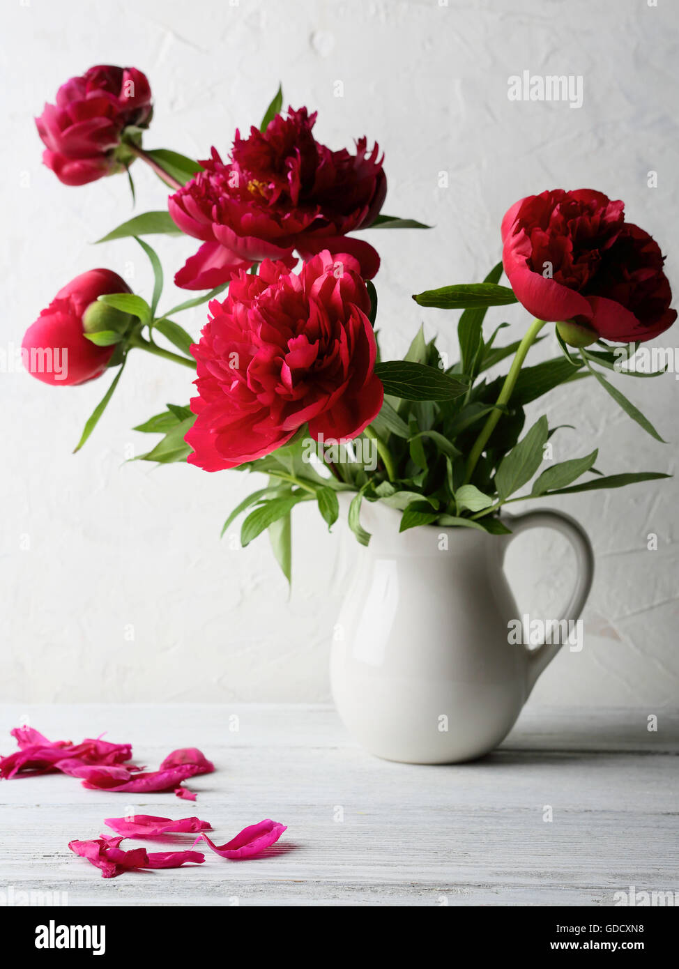 Rosso fresco le peonie nel vaso di fiori, Foto Stock