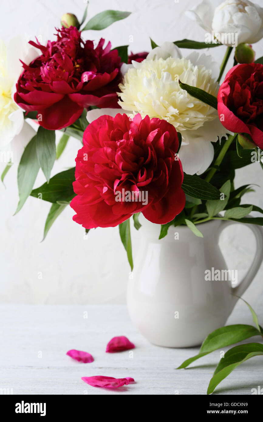 Fresche Le peonie nel vaso, fiori di close-up Foto Stock
