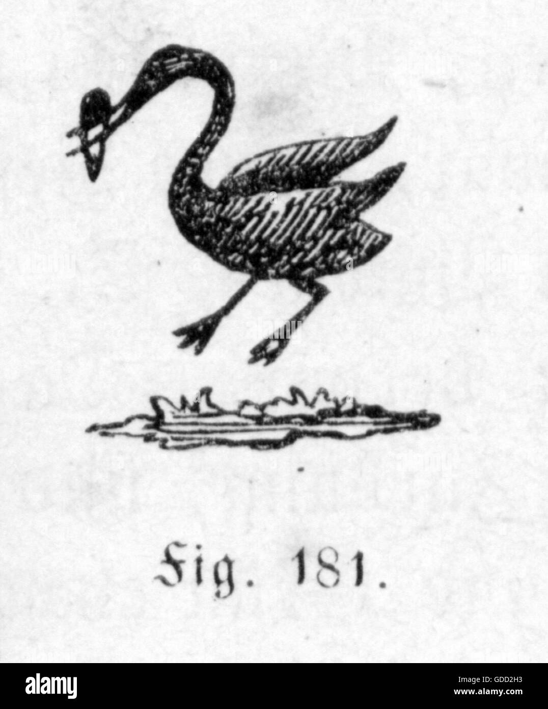 Industria, porcellana, etichette, porcellana fabbricata l'Aia, Olanda, 1775 - 1785, incisione del legno, circa 1865, industria, industrie, etichetta, marchi, marchio registrato, marchio, logo, logo, emblema, emblemi, 18 ° secolo, Paesi Bassi, industria, porcellana, cina, chinaware, storico, storico, diritti aggiuntivi-clearences-non disponibile Foto Stock