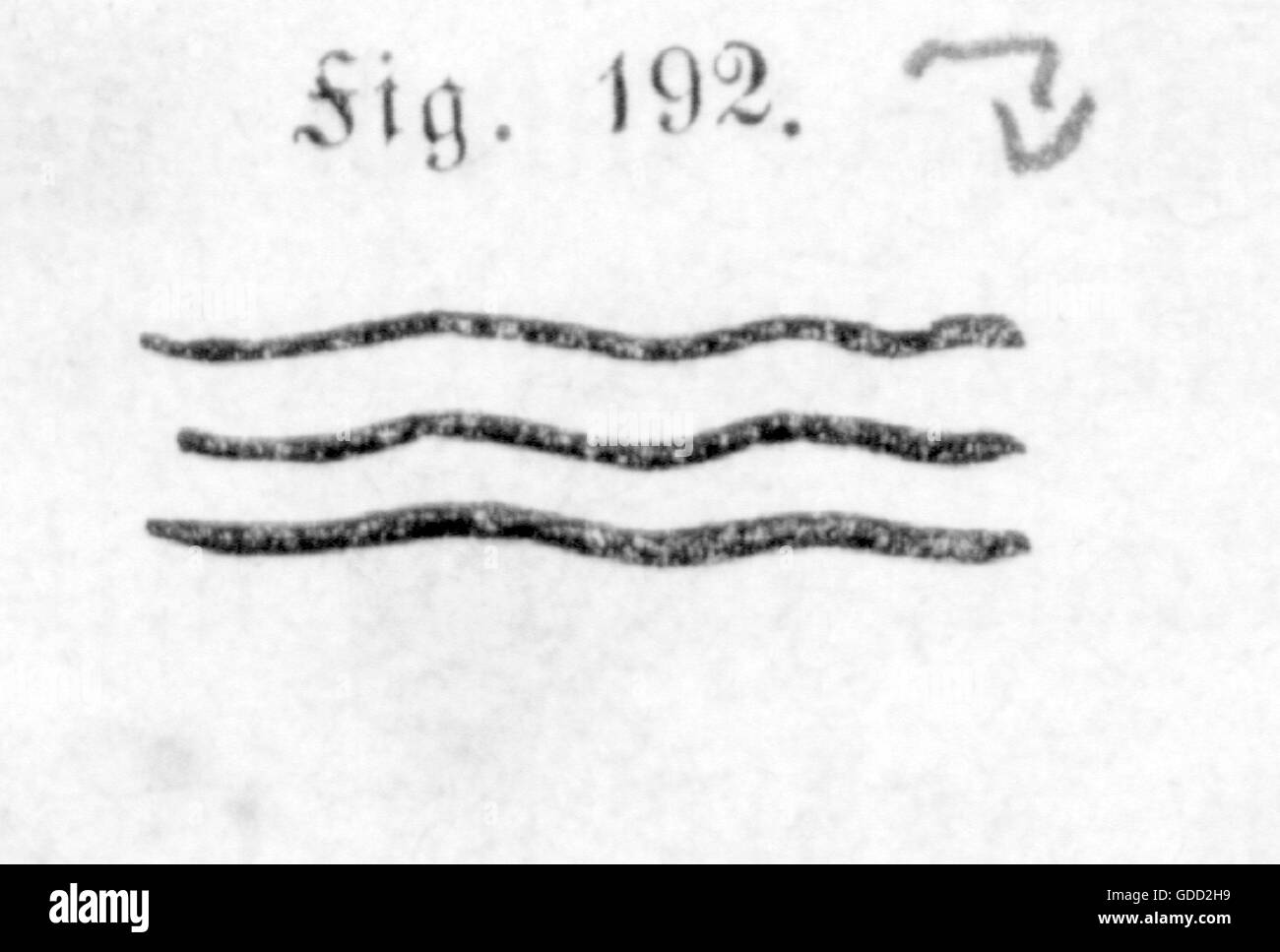 Industria, porcellana, etichette, porcellana reale produzione Copenhagen, 1830 - 1845, incisione legno, circa 1865, industria, industrie, etichetta, marchi, marchio registrato, marchio, logo, logo, emblema, emblemi, XIX secolo, Danimarca, industria, porcellana, cina, chinaware, storico, storico, diritti aggiuntivi-clearences-non disponibile Foto Stock