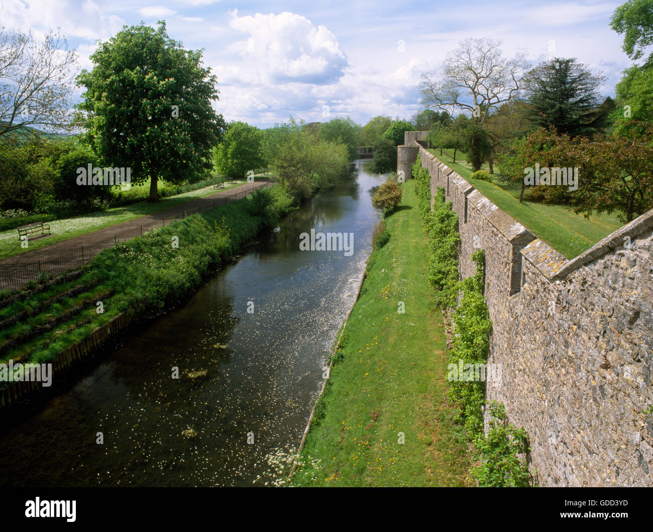 Fossato del palazzo vescovile, Wells,Somerset, cercando SW da e torre di parapetto a piedi: edifici del palazzo e i giardini furono fortificate in C14th. Foto Stock