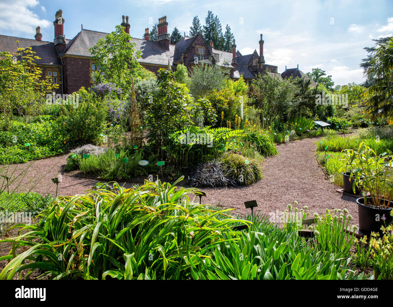 Bristol Giardino Botanico di proprietà e gestito dall'Università di Bristol REGNO UNITO ospita una grande collezione di piante provenienti da tutto il mondo Foto Stock