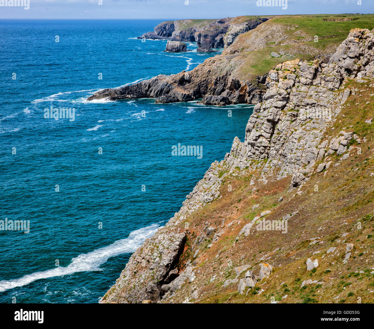 Carbonifero scogliere calcaree vicino Castlemartin sulla South Pembrokeshire Coast guardando verso il Ponte Verde del Galles Foto Stock