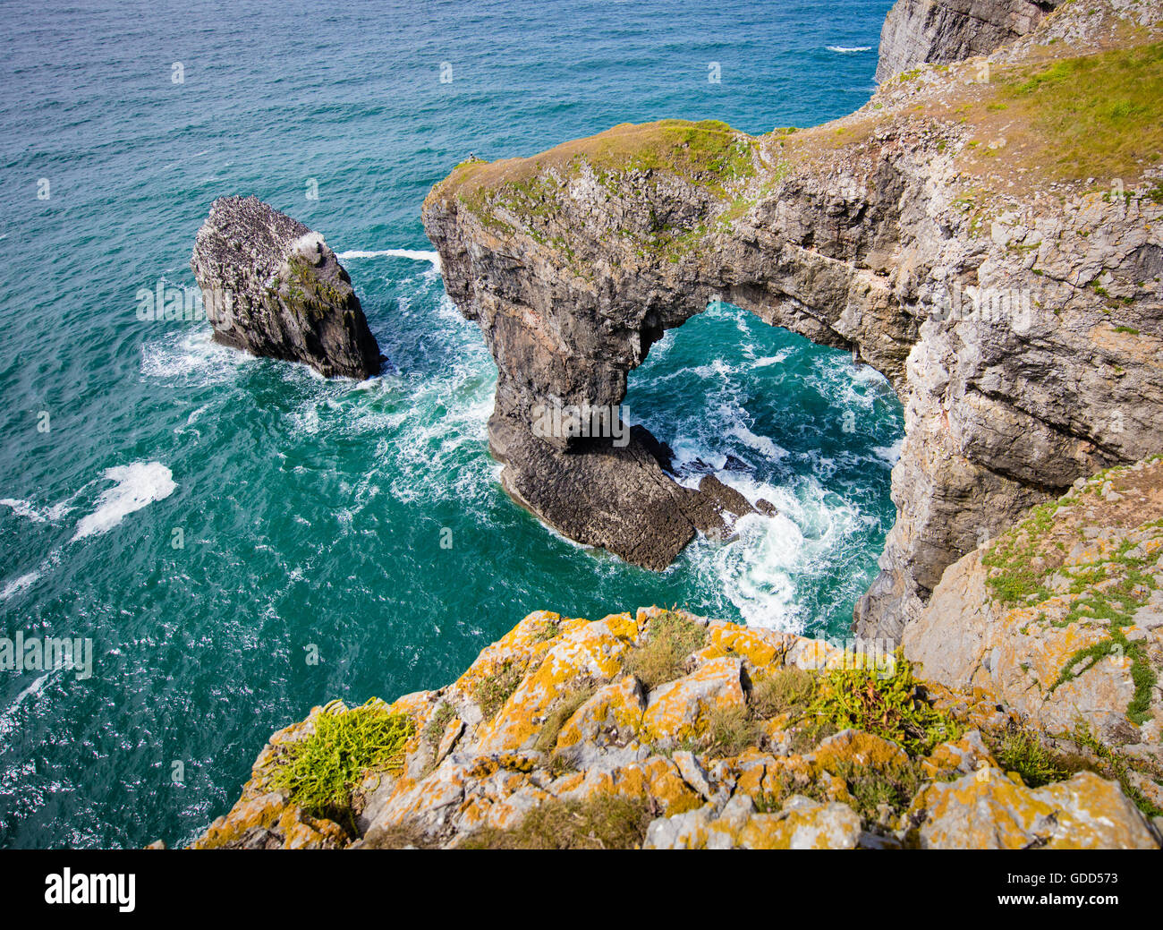 Ponte Verde del Galles vicino Castlemartin su Il Pembrokeshire Coast è un arco naturale nel carbonifero scogliere calcaree Foto Stock