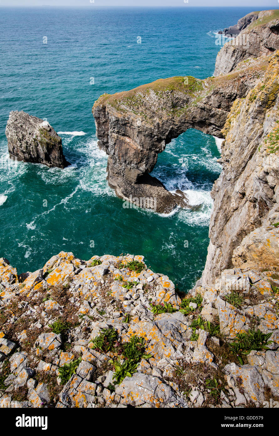 Ponte Verde del Galles vicino Castlemartin su Il Pembrokeshire Coast è un arco naturale nel carbonifero scogliere calcaree Foto Stock
