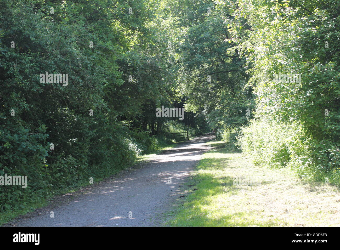 Battaglia di Bosworth paese a piedi Foto Stock