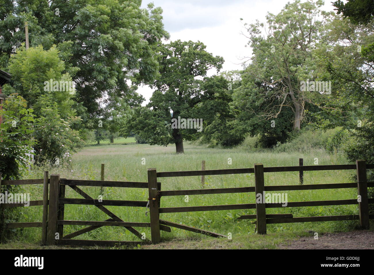 Cancello e recinzione, alberi su Bosworth campi di battaglia Foto Stock