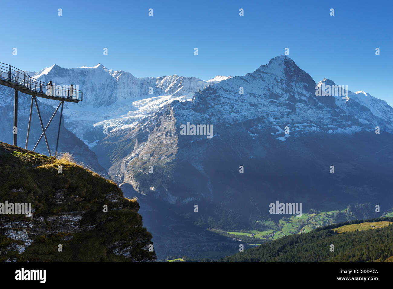 Sentiero del vertice e la piattaforma di osservazione con il nome prima scogliera a piedi al di sopra del primo sopra Grindelwald,Oberland Bernese,sw Foto Stock