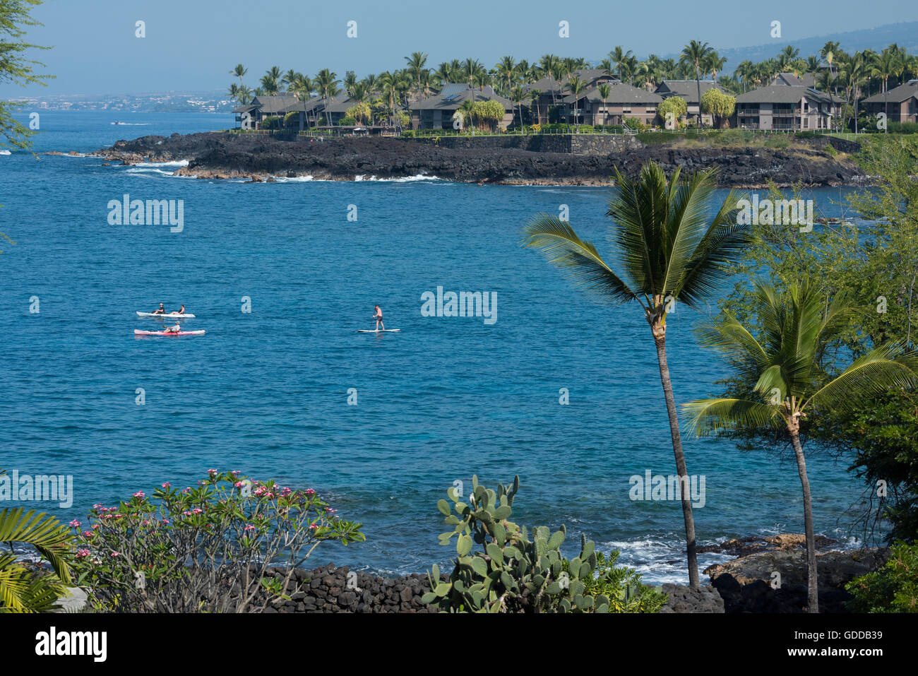 Stati Uniti d'America,Vereinigte Staaten,Amerika,Hawaii,Grande Isola,Kona,Keauhou Bay Foto Stock