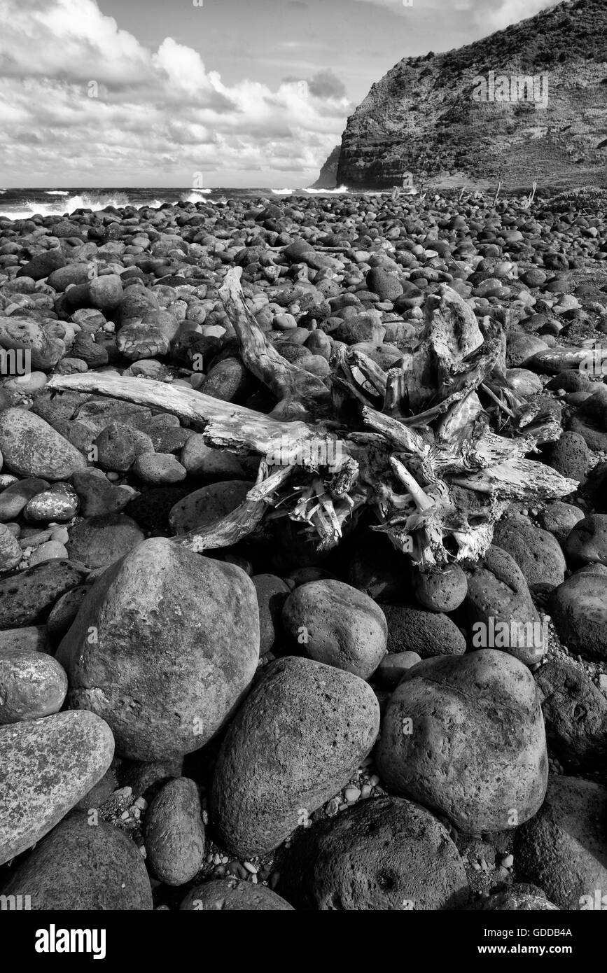 Stati Uniti d'America,Hawaii,Molokai,tropical,Halawa Valley, Foto Stock