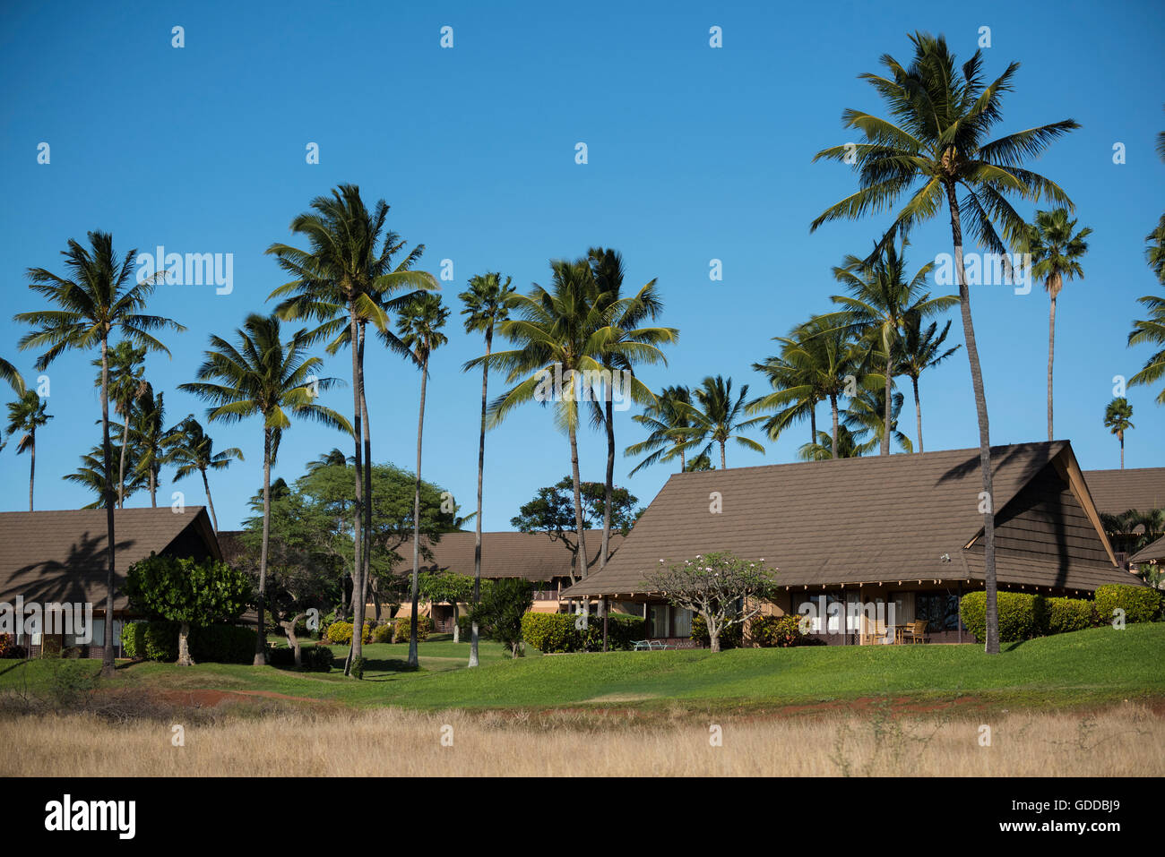 Stati Uniti d'America,Hawaii,Molokai,Kepuhi beach,West Molokai Foto Stock