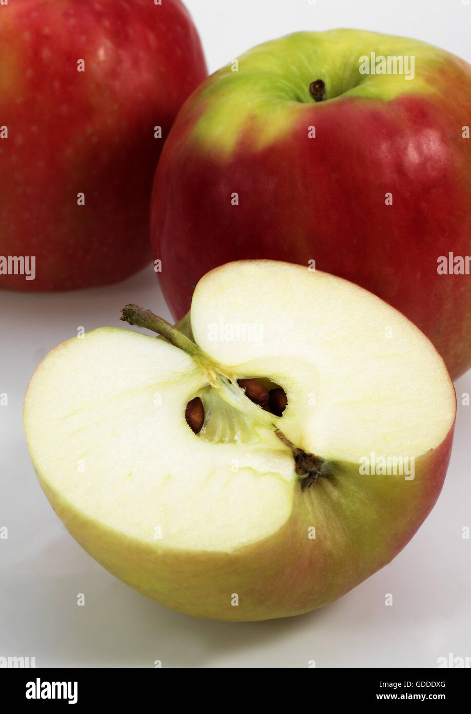 Pink Lady Mele, malus domestica, contro uno sfondo bianco Foto Stock