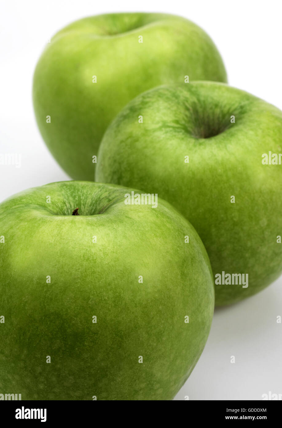 Mela Granny Smith, malus domestica, frutti contro uno sfondo bianco Foto Stock