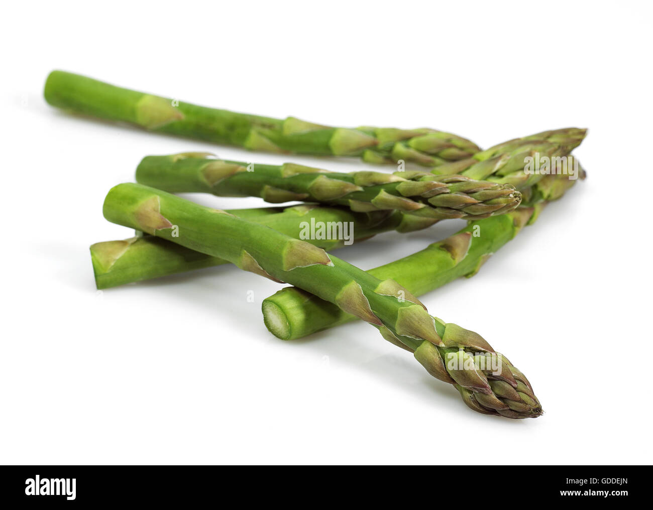 Asparagi verdi, Asparagus officinalis contro uno sfondo bianco Foto Stock
