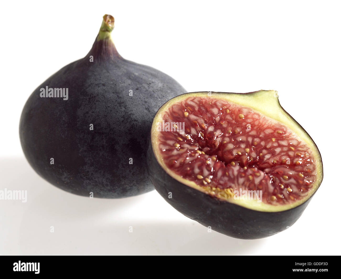 FRESH FIG contro uno sfondo bianco Foto Stock