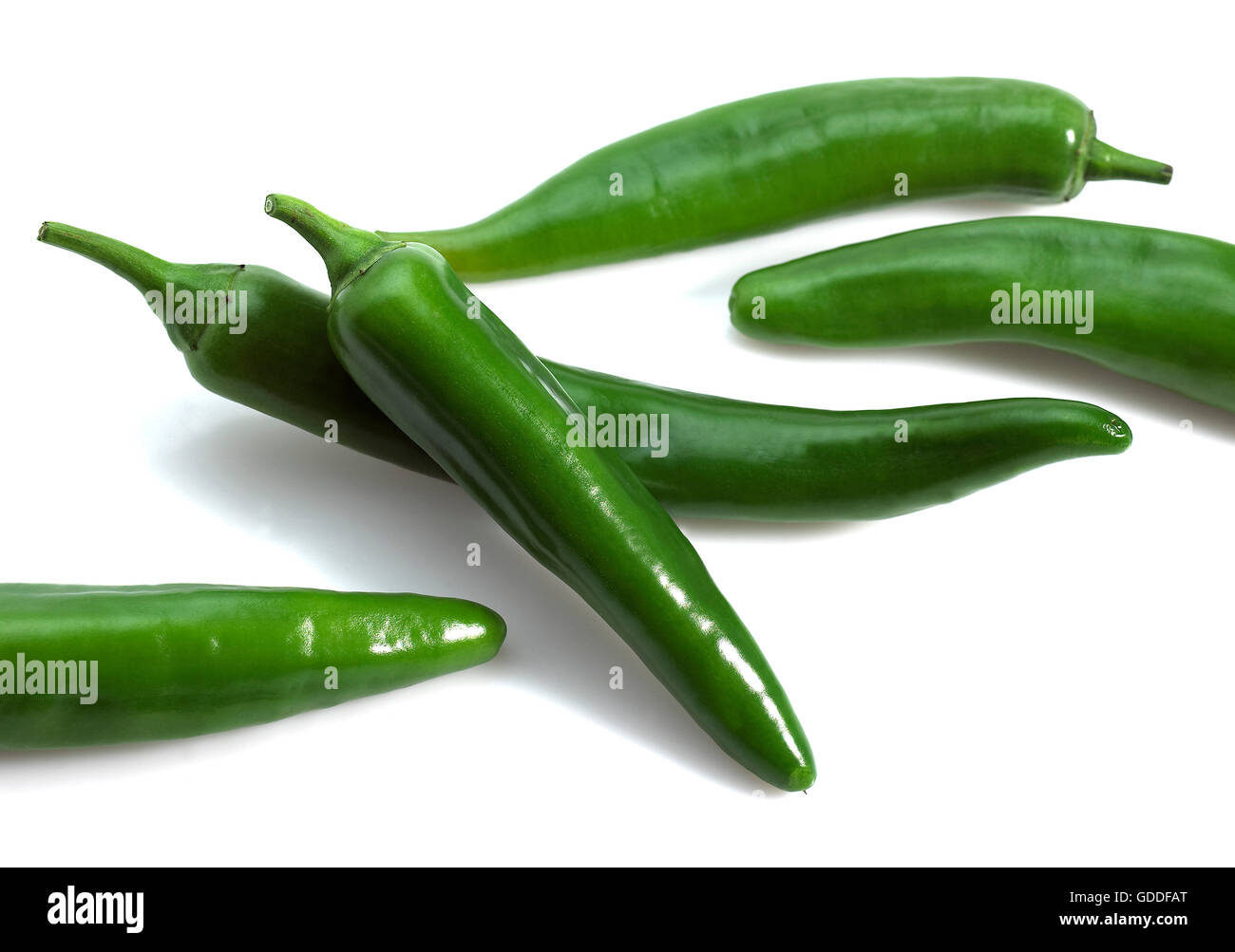 Peperoncino verde Pepe, Capsicum annuum Foto Stock