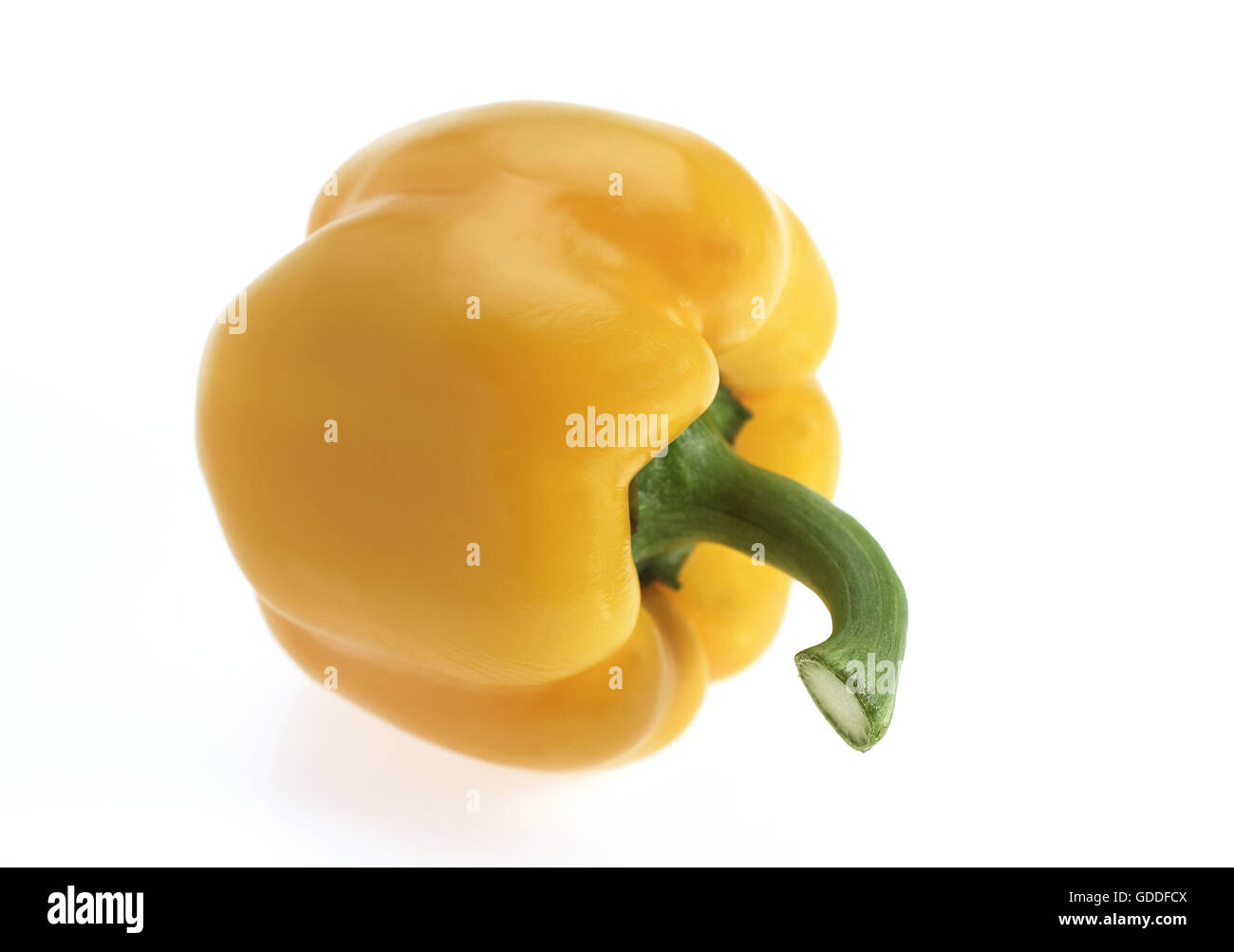 Peperone giallo, Capsicum annuum contro uno sfondo bianco Foto Stock