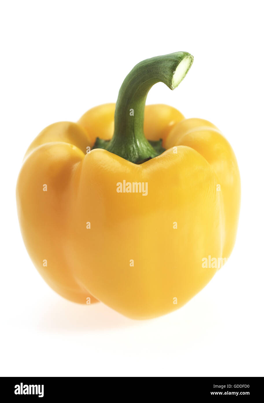 Peperone giallo, Capsicum annuum, contro uno sfondo bianco Foto Stock