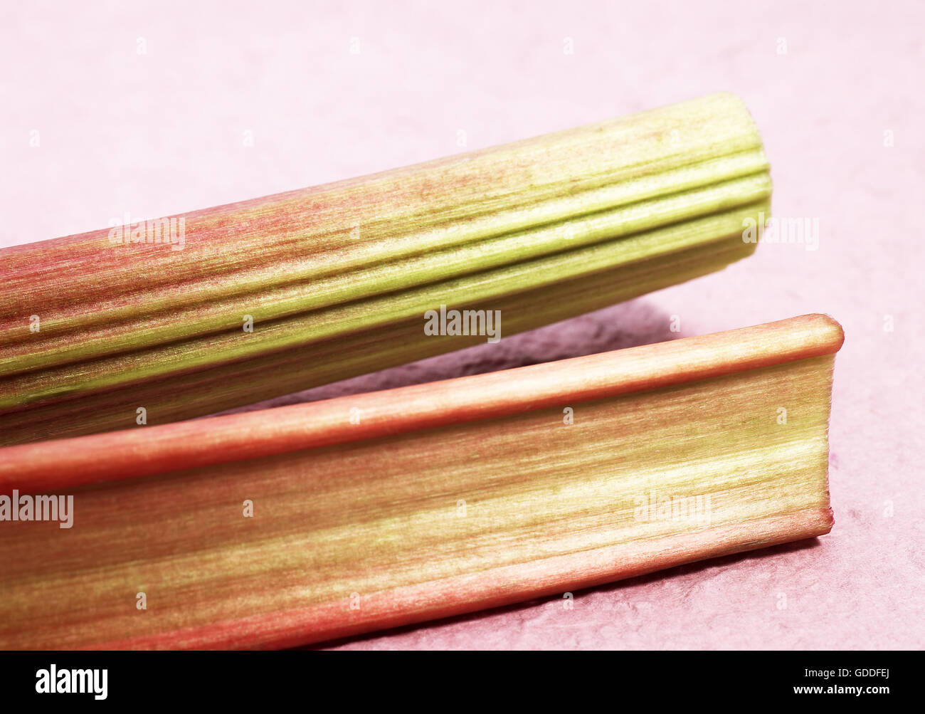 Rabarbaro, Rheum rhabarbarum Foto Stock