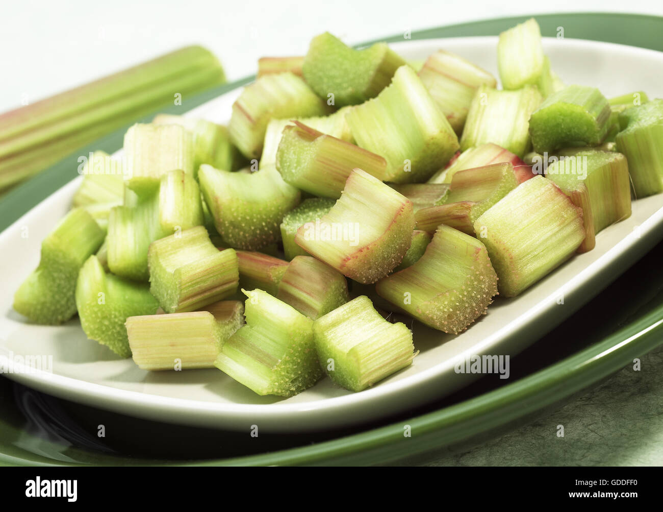 Rabarbaro, Rheum rhabarbarum Foto Stock