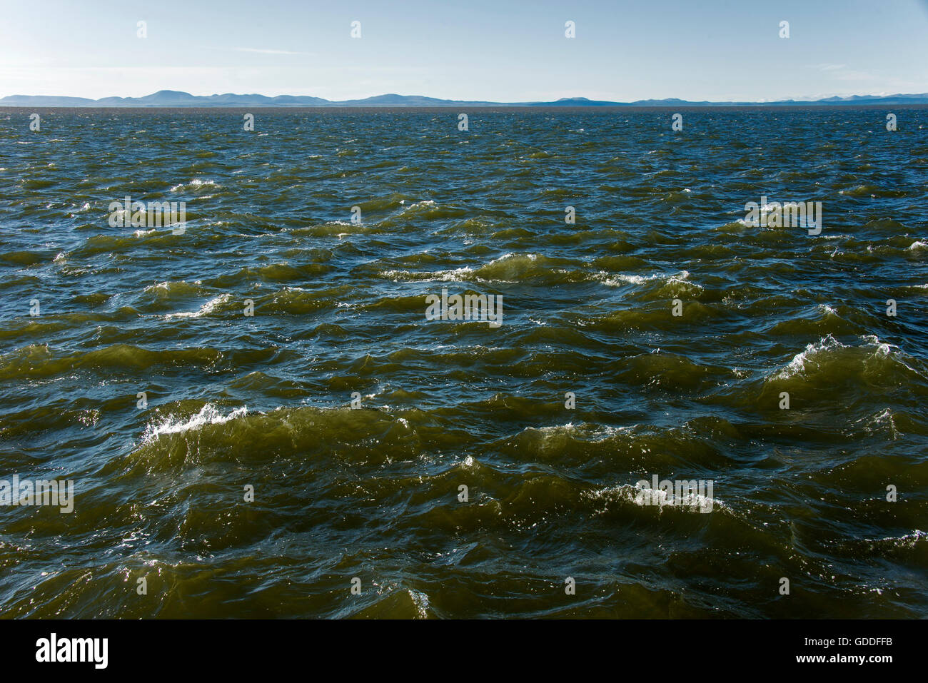 Mare chukchi,costa,Kotzebue,Alaska, STATI UNITI D'AMERICA,onde,l'acqua,mare Foto Stock