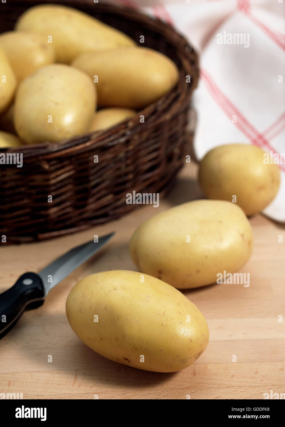 Mona Lisa patata, Solanum tuberosum Foto Stock