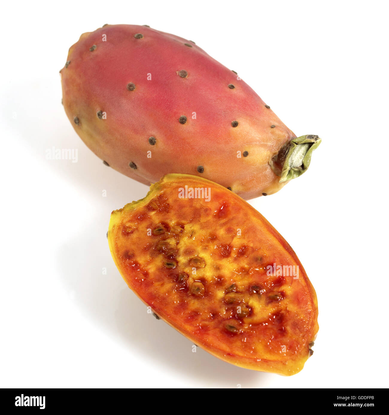 Ficodindia frutto, l' Opuntia ficus-indica contro uno sfondo bianco Foto Stock