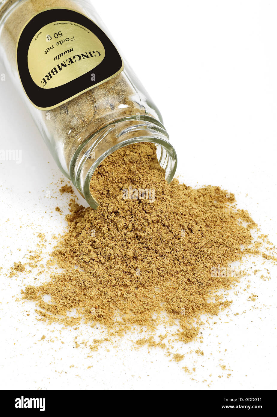 La polvere di zenzero Zingiber officinale Foto Stock