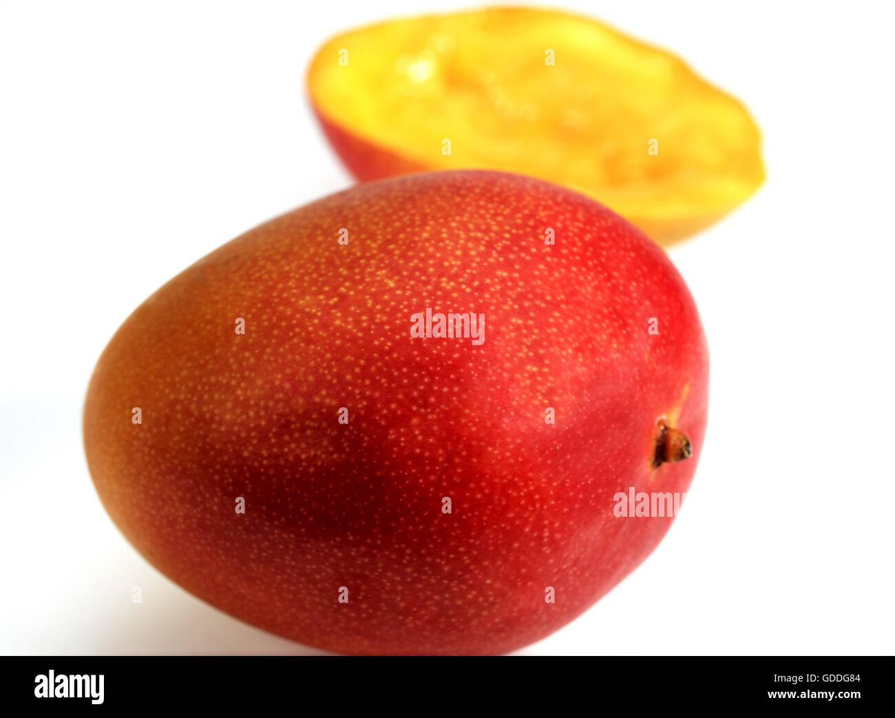 Mango, Mangifera indica, frutti contro uno sfondo bianco Foto Stock