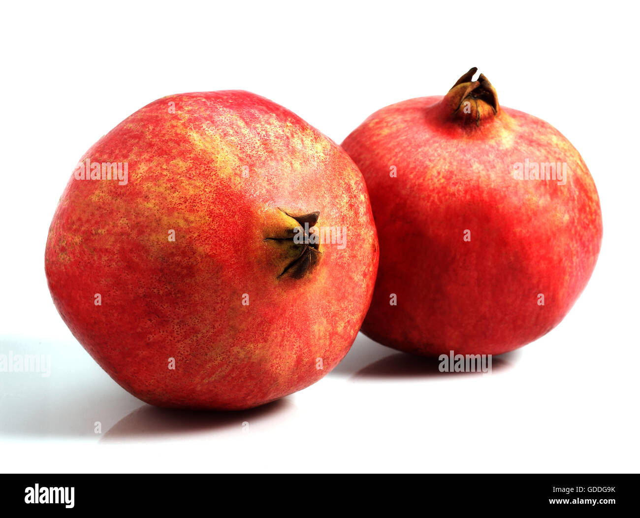 Pomegranata frutta, Punica granatum contro uno sfondo bianco Foto Stock