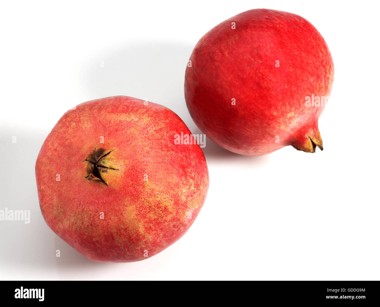 POMEGRANATA frutto Punica granatum contro uno sfondo bianco Foto Stock