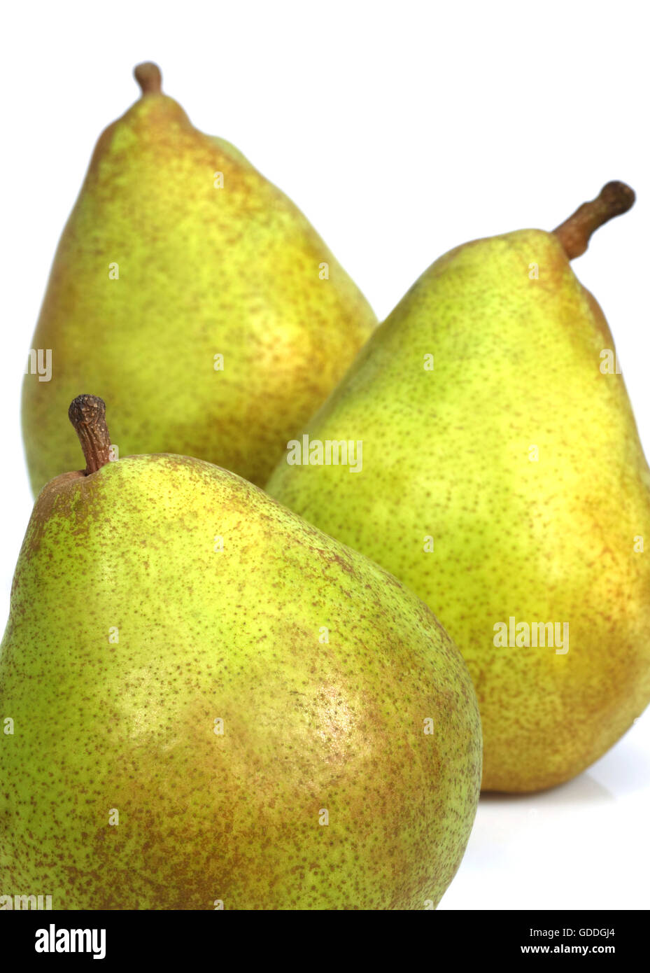 Comice Pera, Pyrus communis, frutti contro uno sfondo bianco Foto Stock