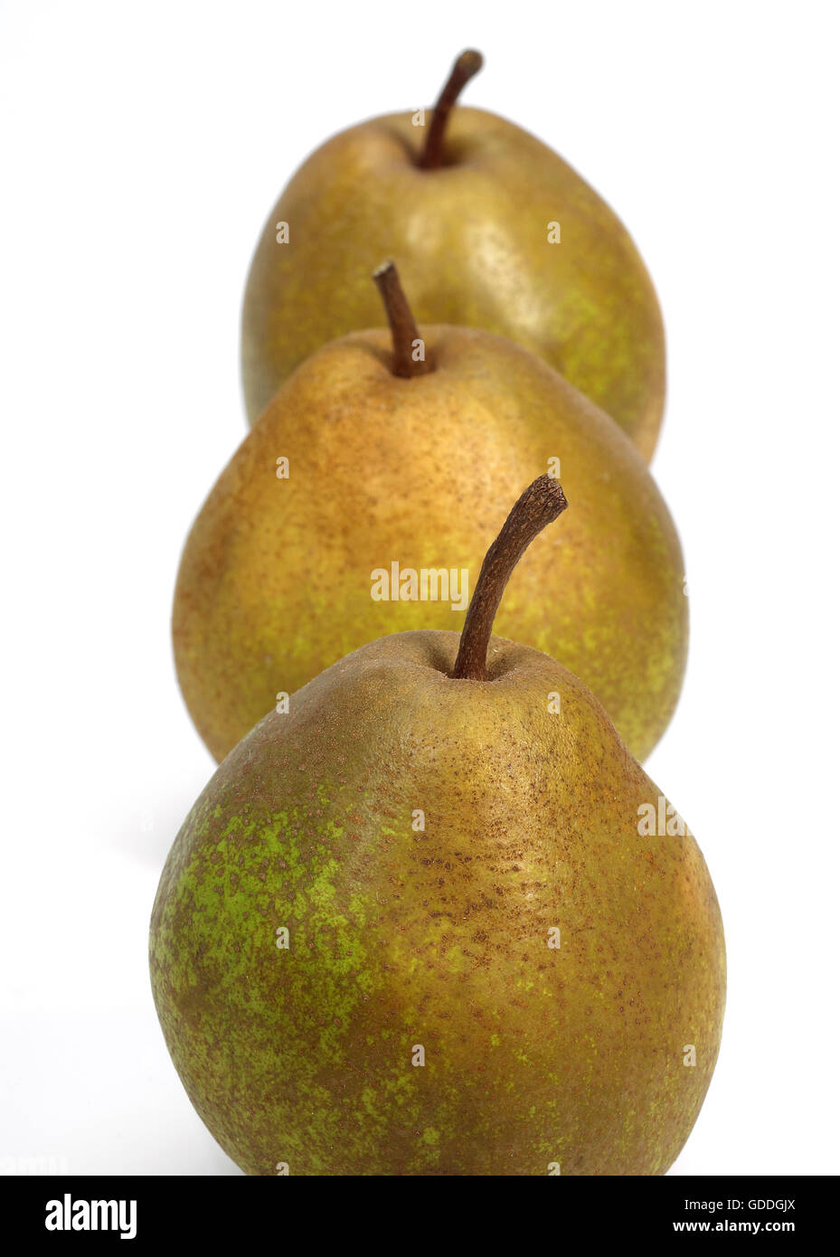 Beurre Hardy Pera, Pyrus communis, frutto contro uno sfondo bianco Foto Stock