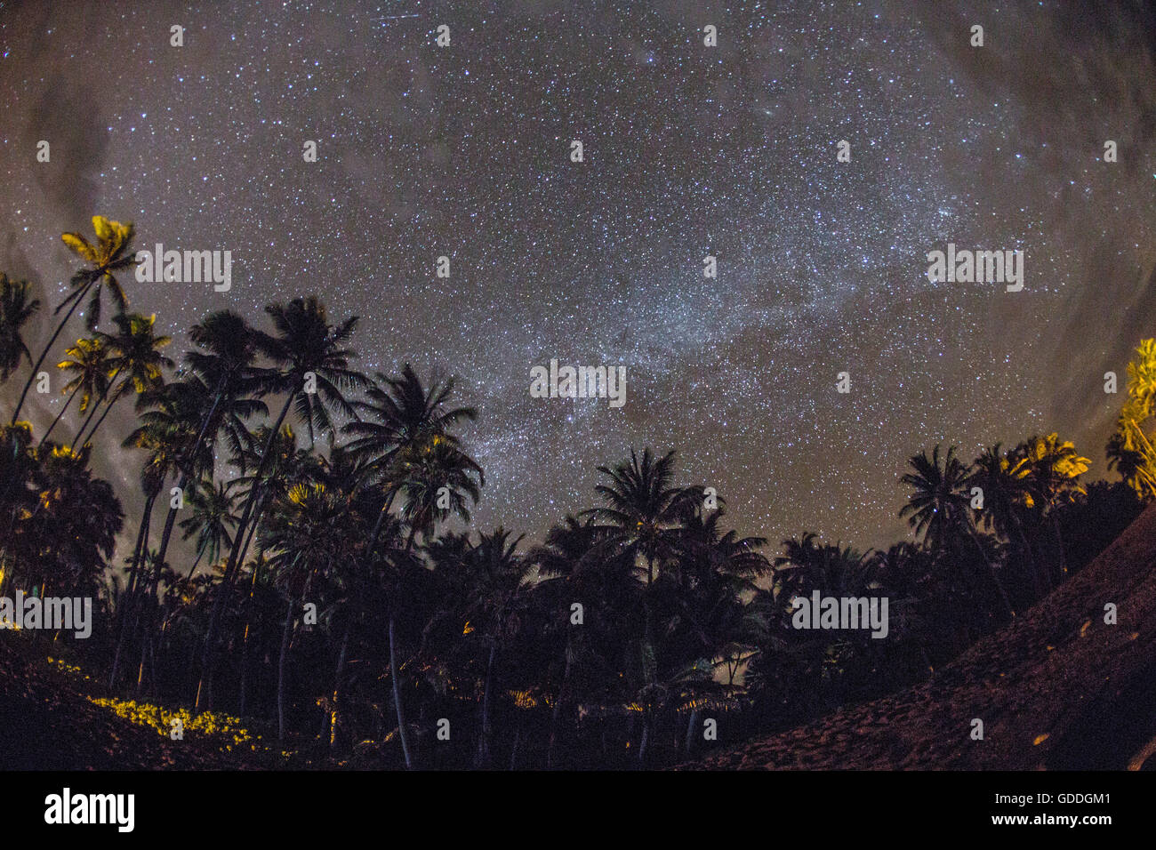 Grande Isola,star sky,Punaluu,spiaggia di sabbia nera,Grande Isola,STATI UNITI D'AMERICA,Hawaii,l'America,palme,sera,stelle, Foto Stock