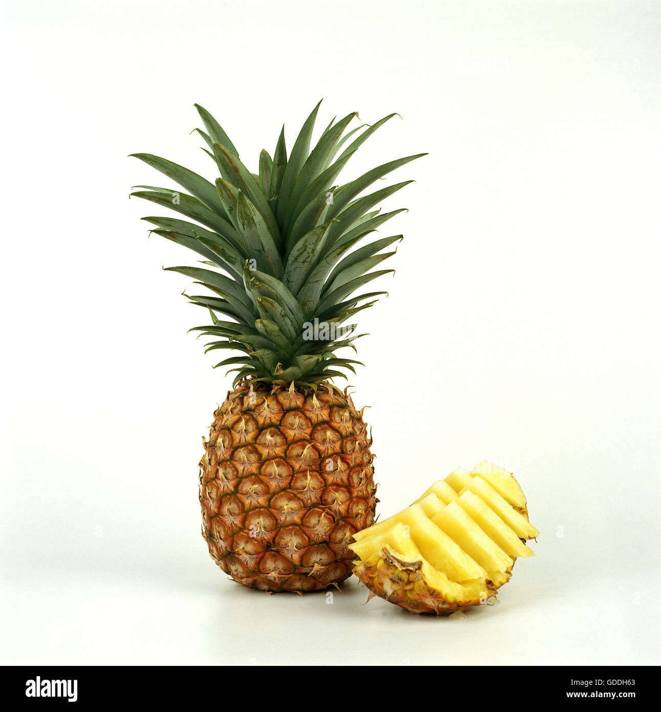 Ananas, Ananas comosus, frutto contro uno sfondo bianco Foto Stock