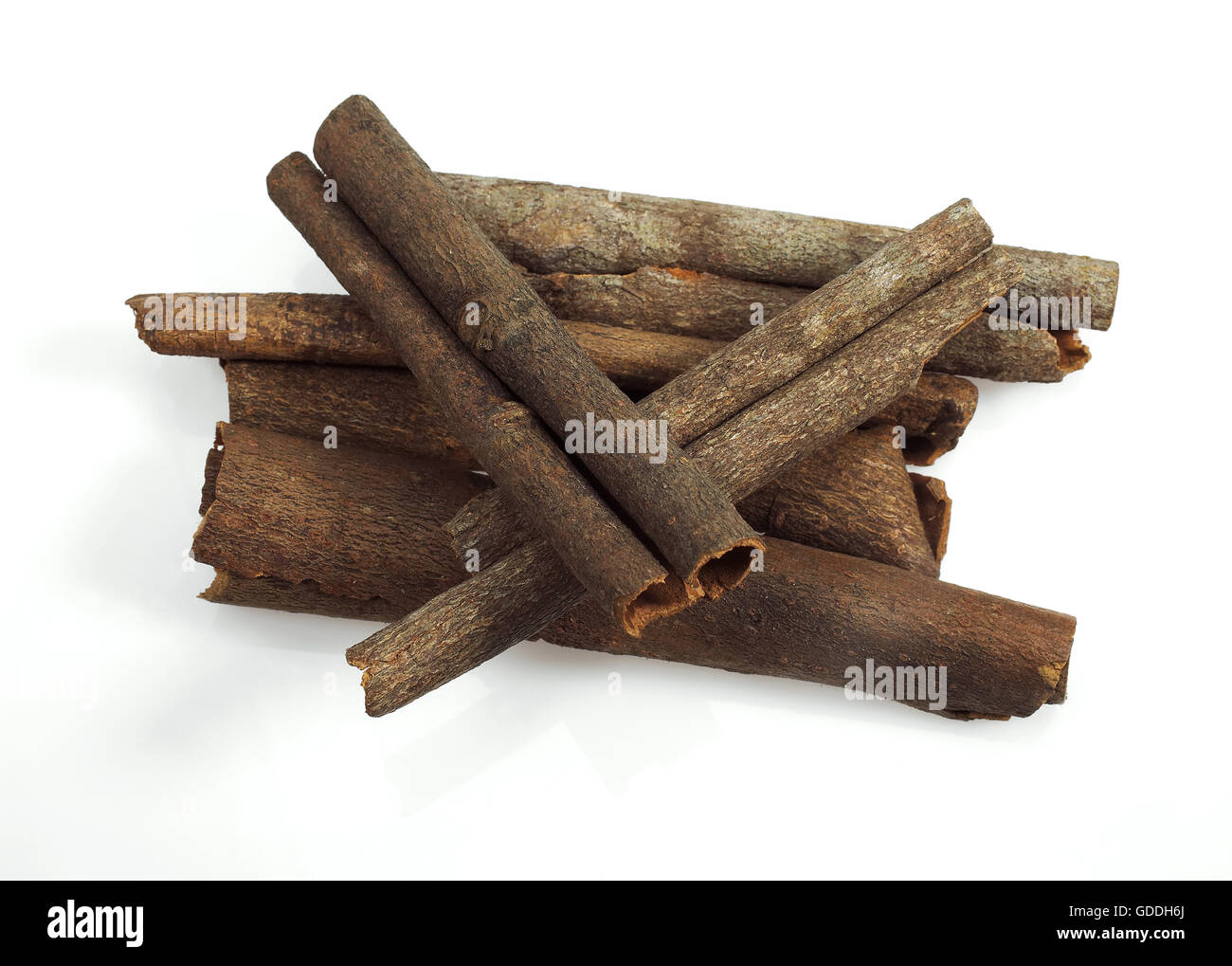 Cinese o Cinnamon Cassia cannella cinnamomum aromaticum Foto Stock