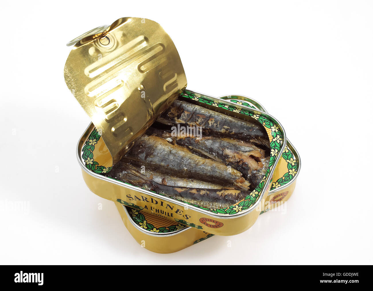 Barattolo di sardine contro uno sfondo bianco Foto Stock