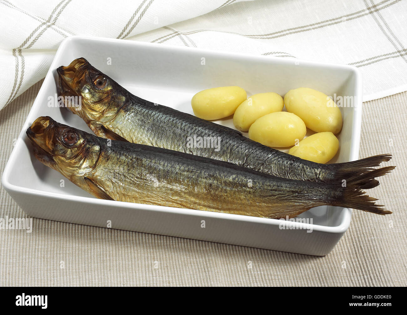 Aringa affumicata o Bouffi Bloater, Clupea harengus Foto Stock