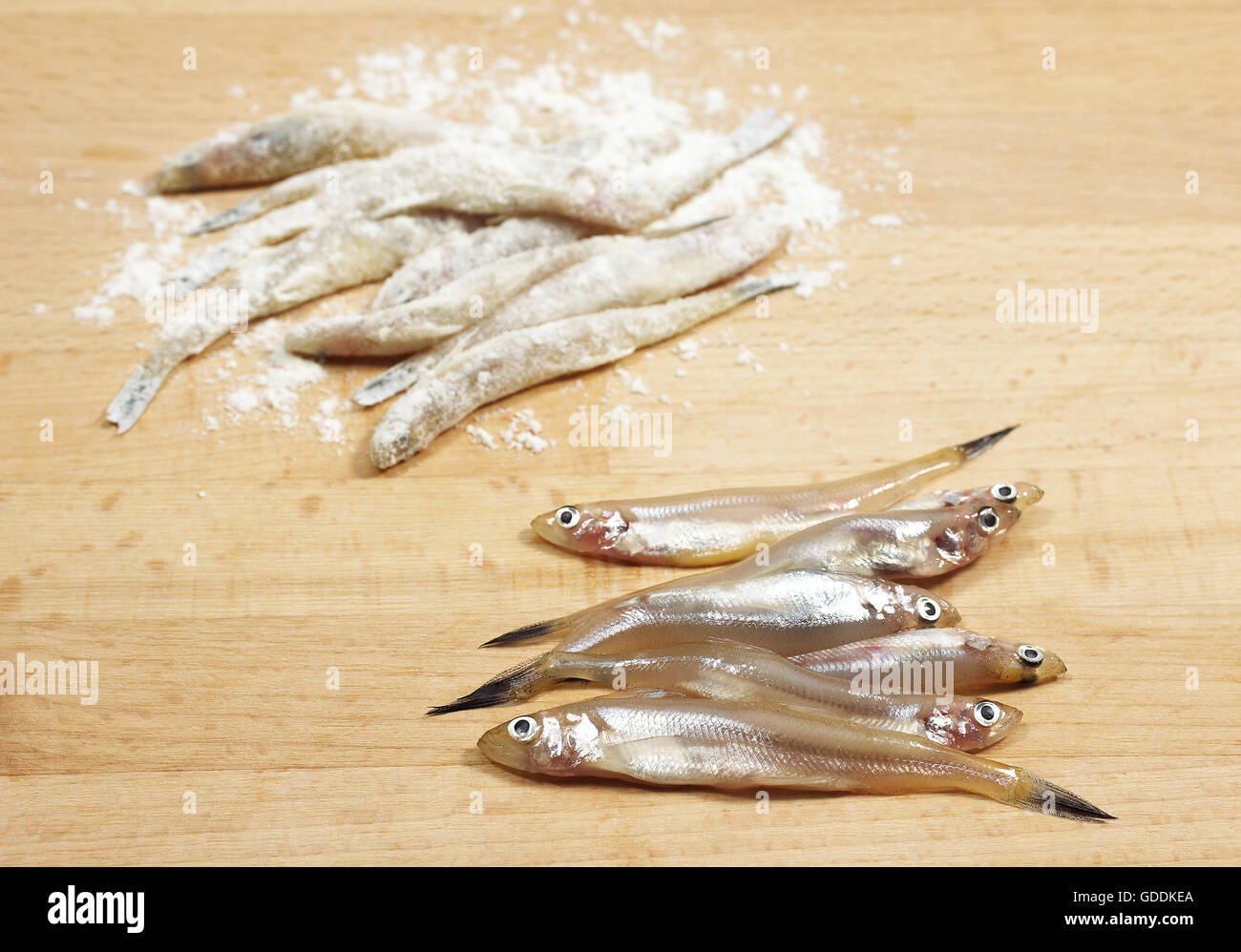 FRESH SMELLEDS osmerus eperlanus con gli altri con la farina prima della frittura Foto Stock