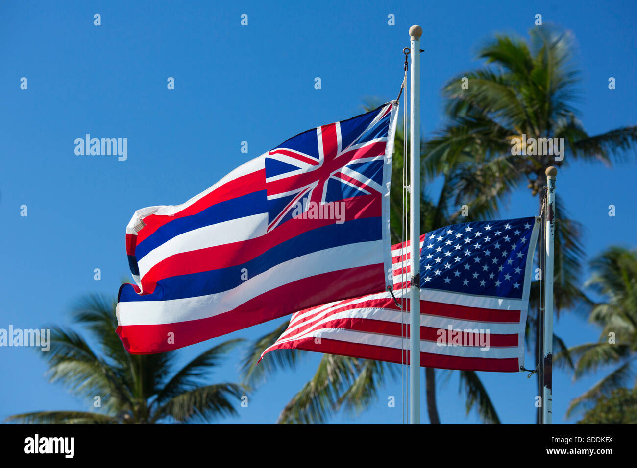 Maui,noi bandiera,banner,STATI UNITI D'AMERICA,Hawaii,l'America,bandiera,bandiere,palme, Foto Stock