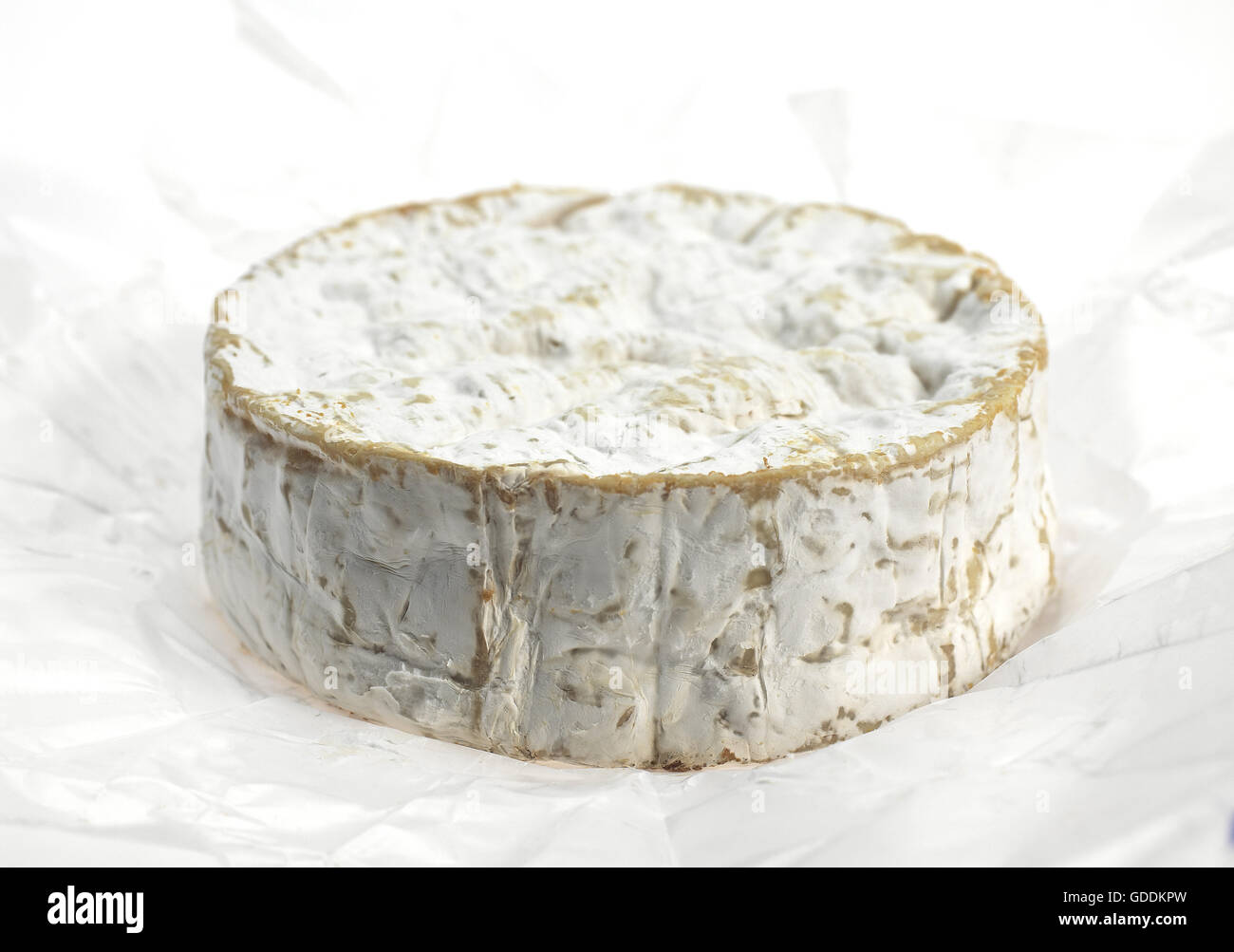 Camembert, Francese formaggio prodotto con latte di vacca in Normandia Foto Stock