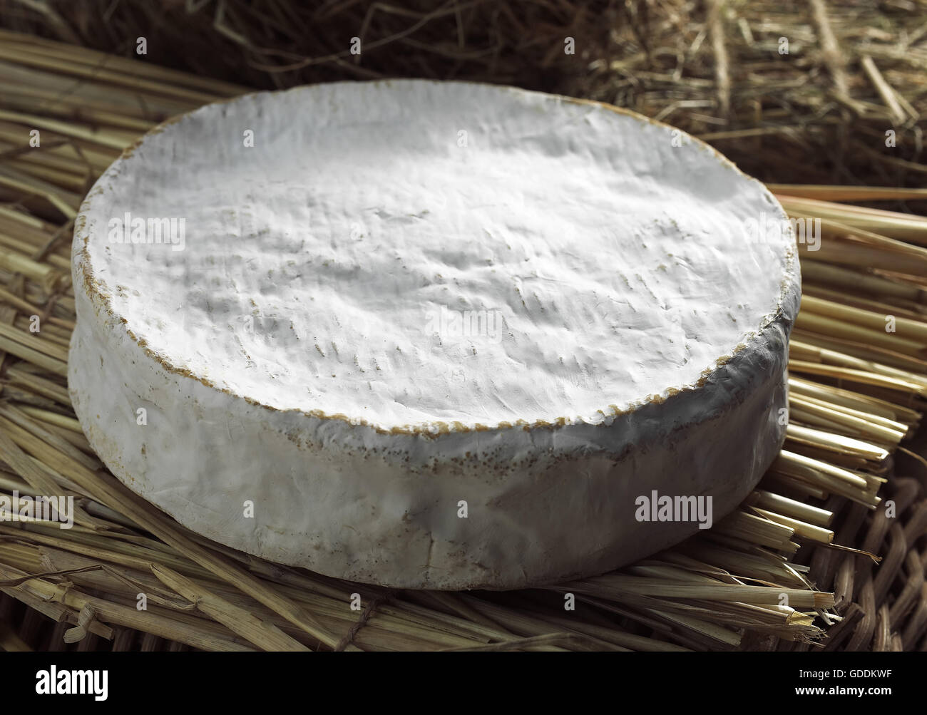 Coulommiers, Francese formaggio prodotto con latte di vacca Foto Stock