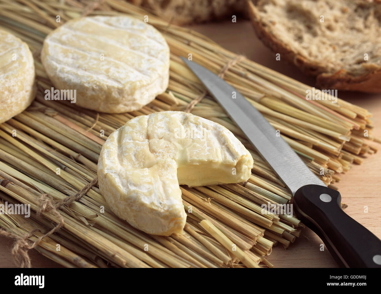 SAINT MARCELLIN, un francese di formaggio di latte di vacca Foto Stock