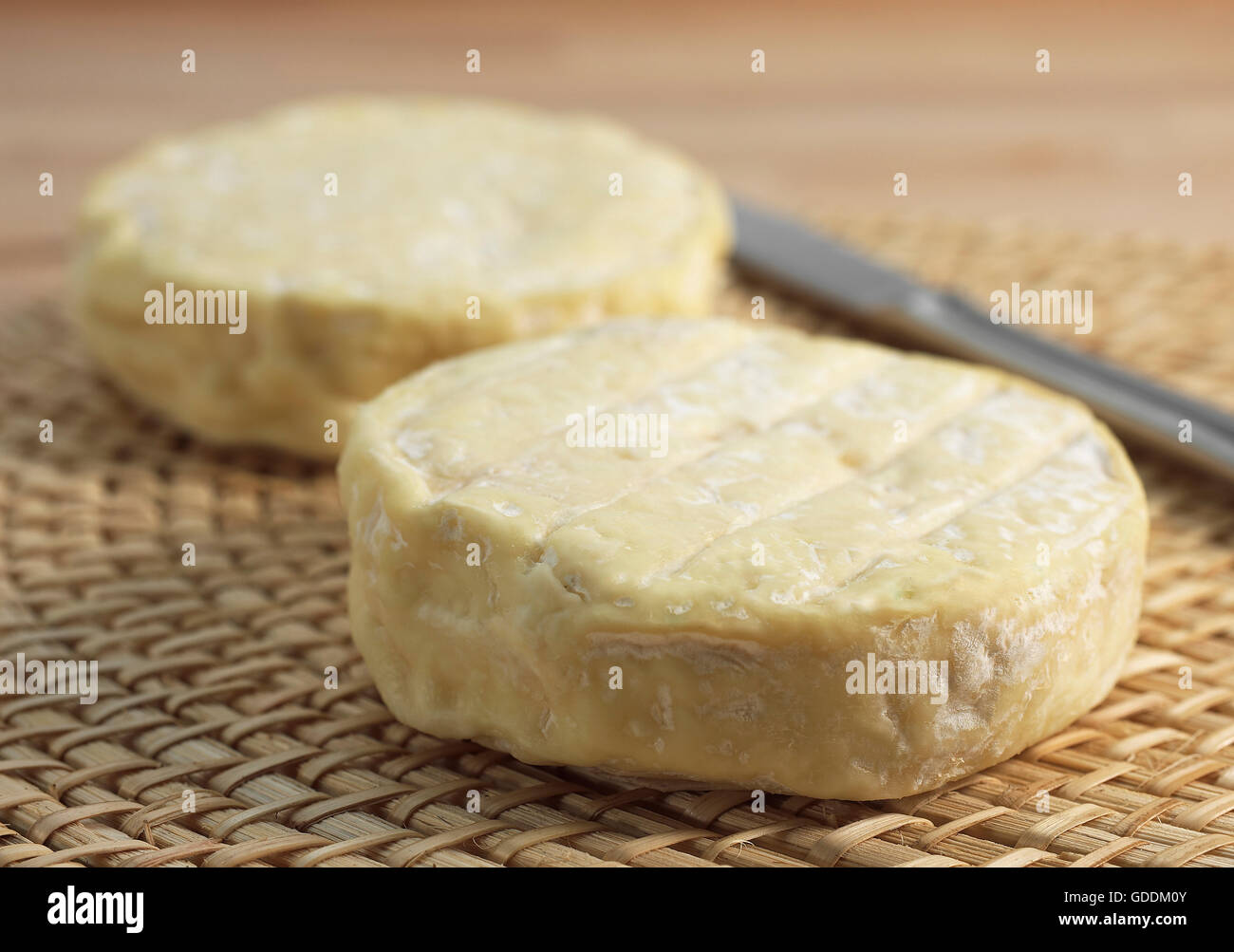 Formaggio francese chiamato Saint Marcellin prodotta da latte di vacca Foto Stock