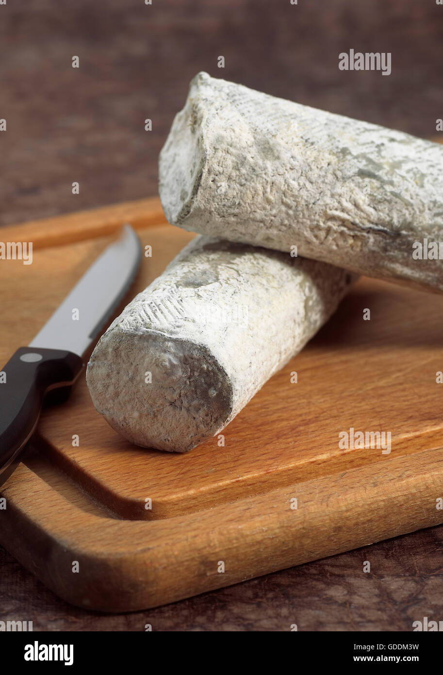 Formaggio francese chiamato Sainte Le Maure de Touraine, formaggio prodotto con latte di capra Foto Stock