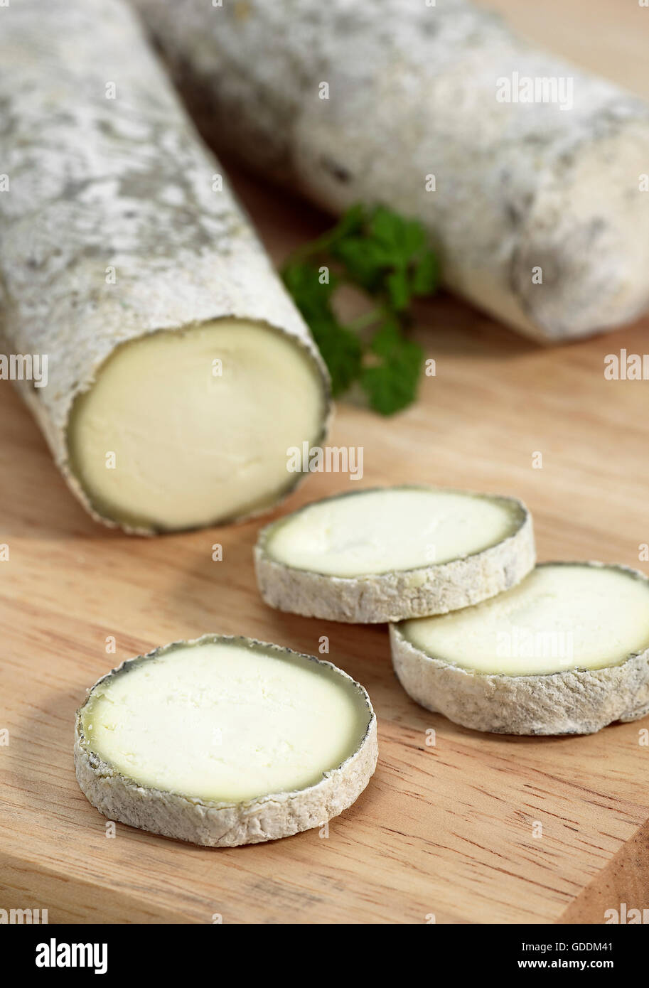 Formaggio francese chiamato Sainte Le Maure de Touraine, formaggio prodotto con latte di capra Foto Stock
