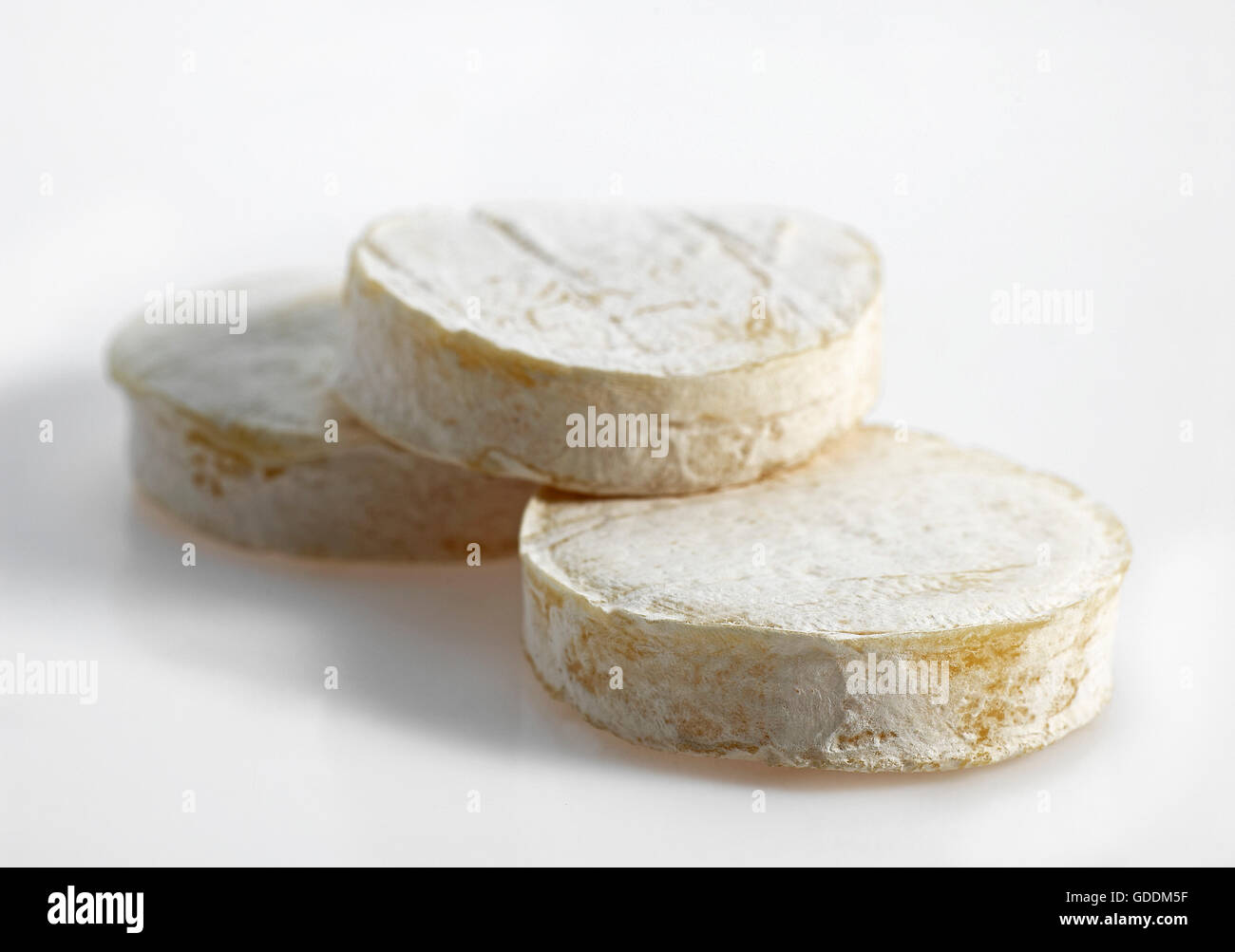 Rocamadour, Francese Formaggio di latte di capra Foto Stock