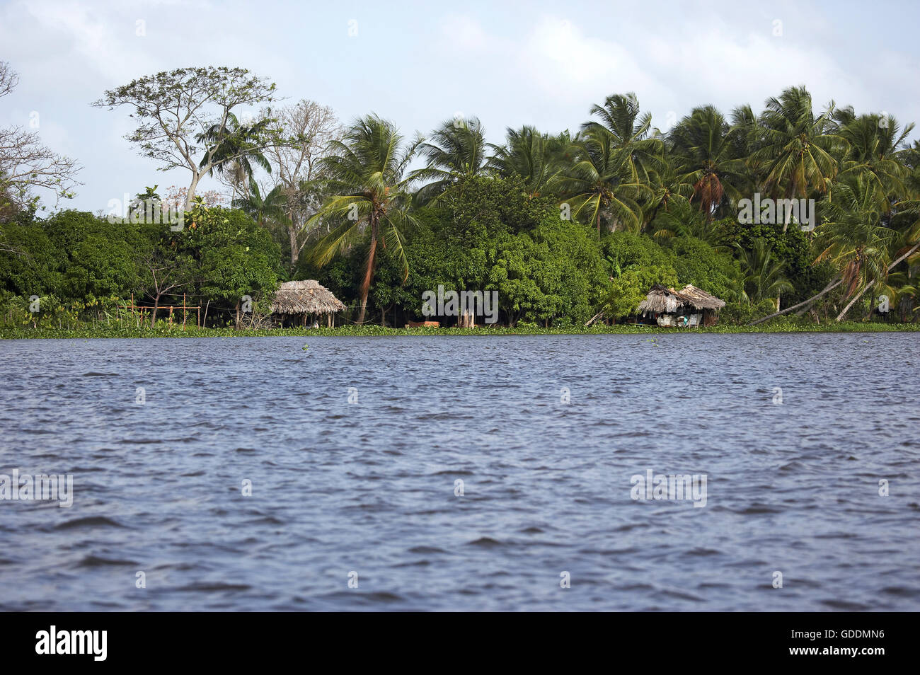 DELTA ORINOCO IN VENEZUELA con casa sulla pila Foto Stock