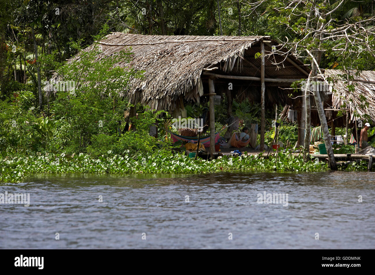 Warao's House lungo il fiume, Indiani che vivono nel Delta Orinoco, Venezuela Foto Stock