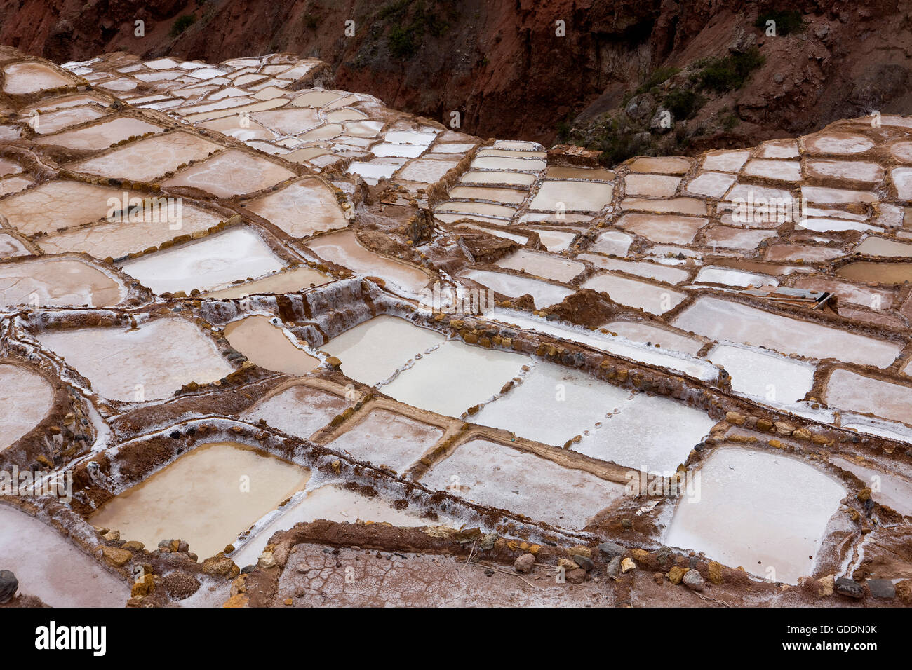Maras Miniere di Sale a Salinas vicino a Tarabamba in Perù Foto Stock